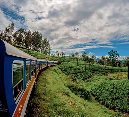 A Sri Lankan Train